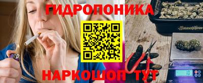 дмт Обь