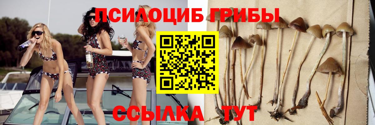 Галлюциногенные грибы прущие грибы Семёнов