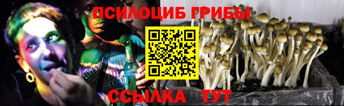 Семёнов  Псилоцибиновые грибы ЛСД  Вход с VPN 